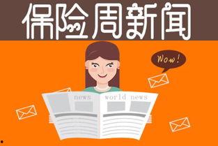 保险新闻最新爆料大全